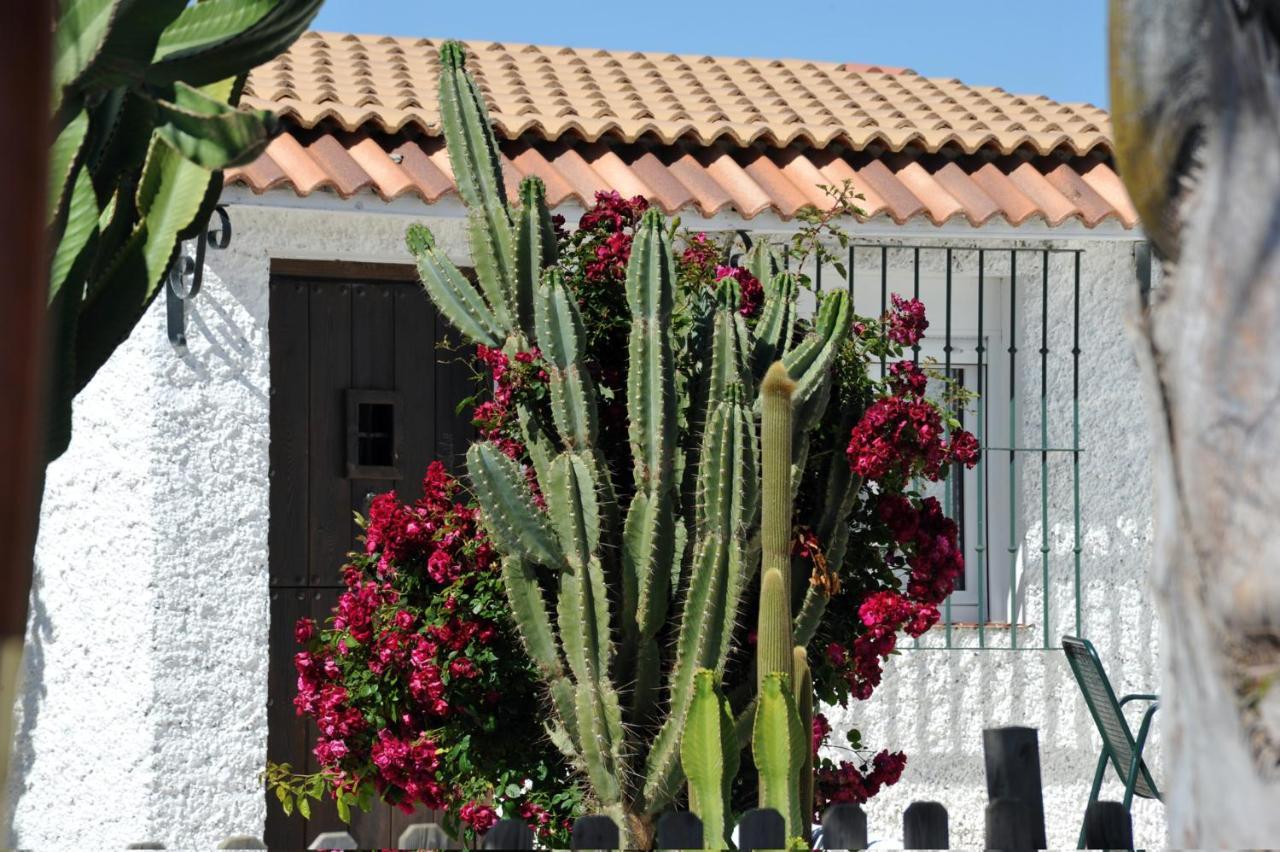 Апартаменти Cortijo Flamingos Чиклана-де-ла-Фронтера Екстер'єр фото